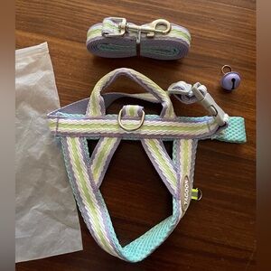 Cute small dog harness and leash NEW